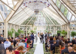 Boda Civil Oficiante Bronx